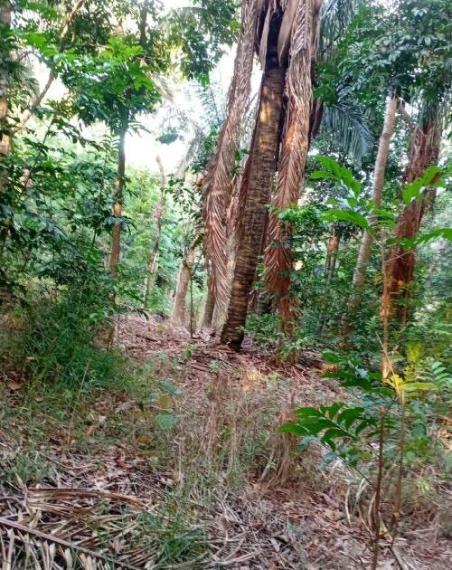 House for sale in Capira, Panamá Oeste