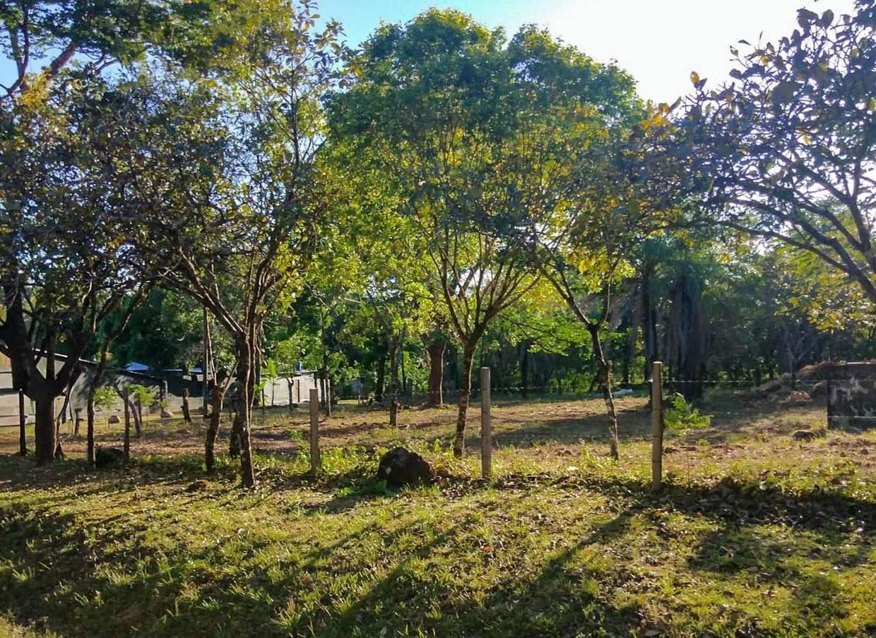 photo_server