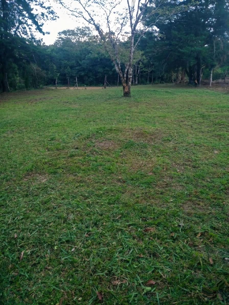 photo_server