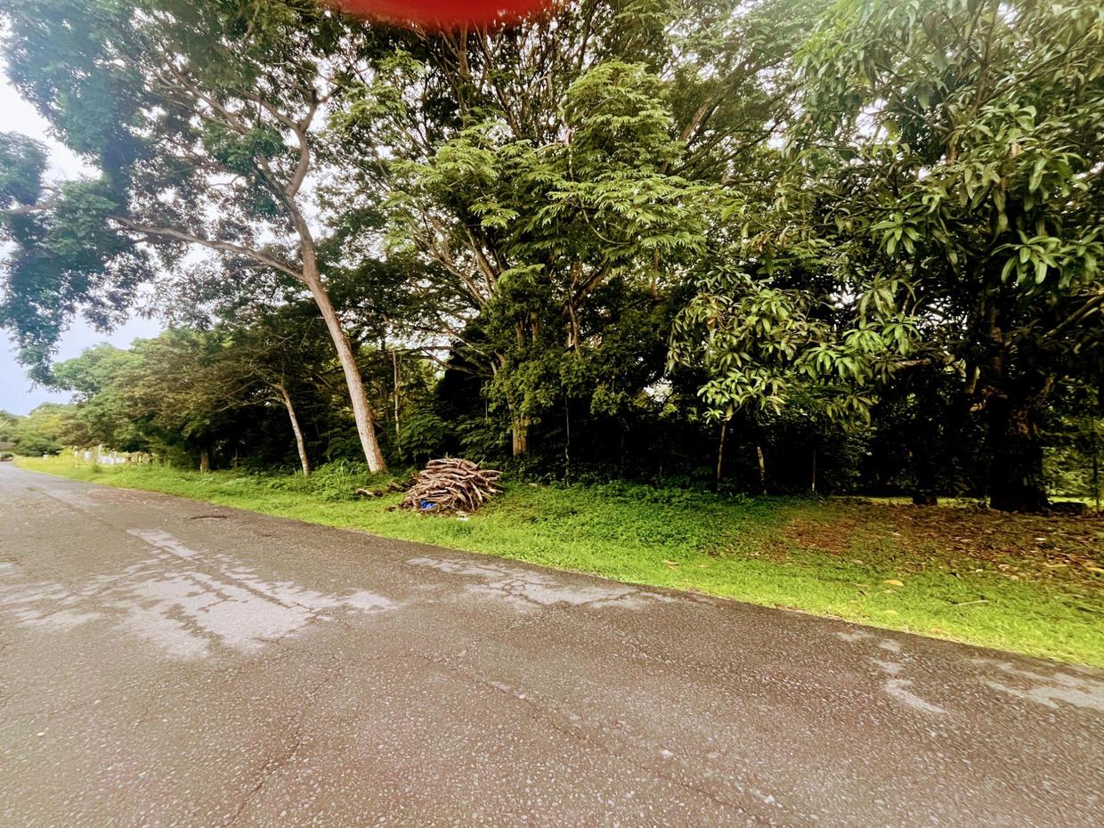 photo_server