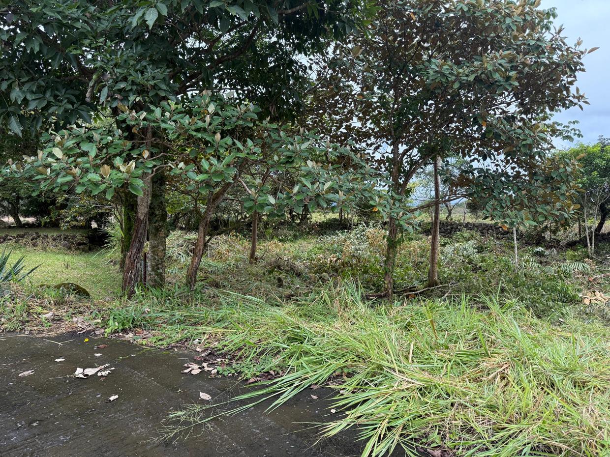 photo_server