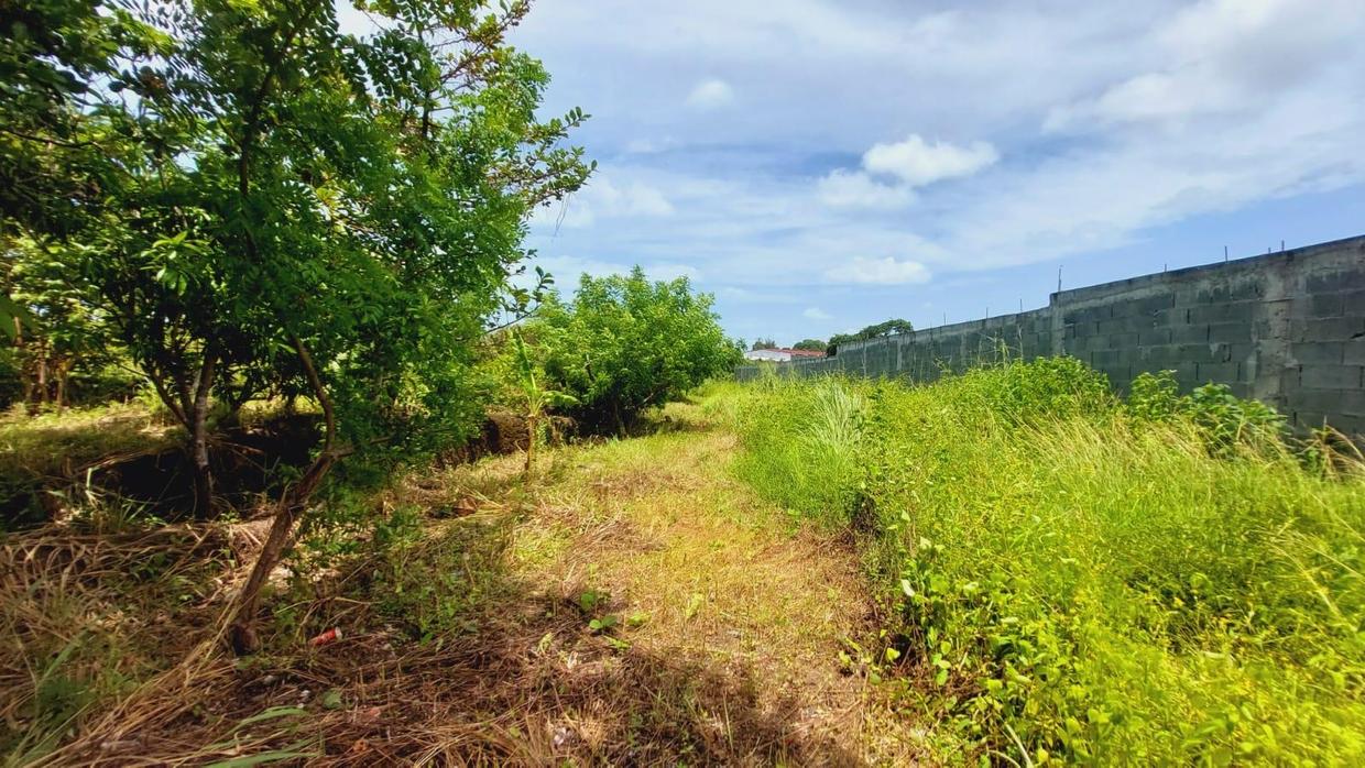 photo_server