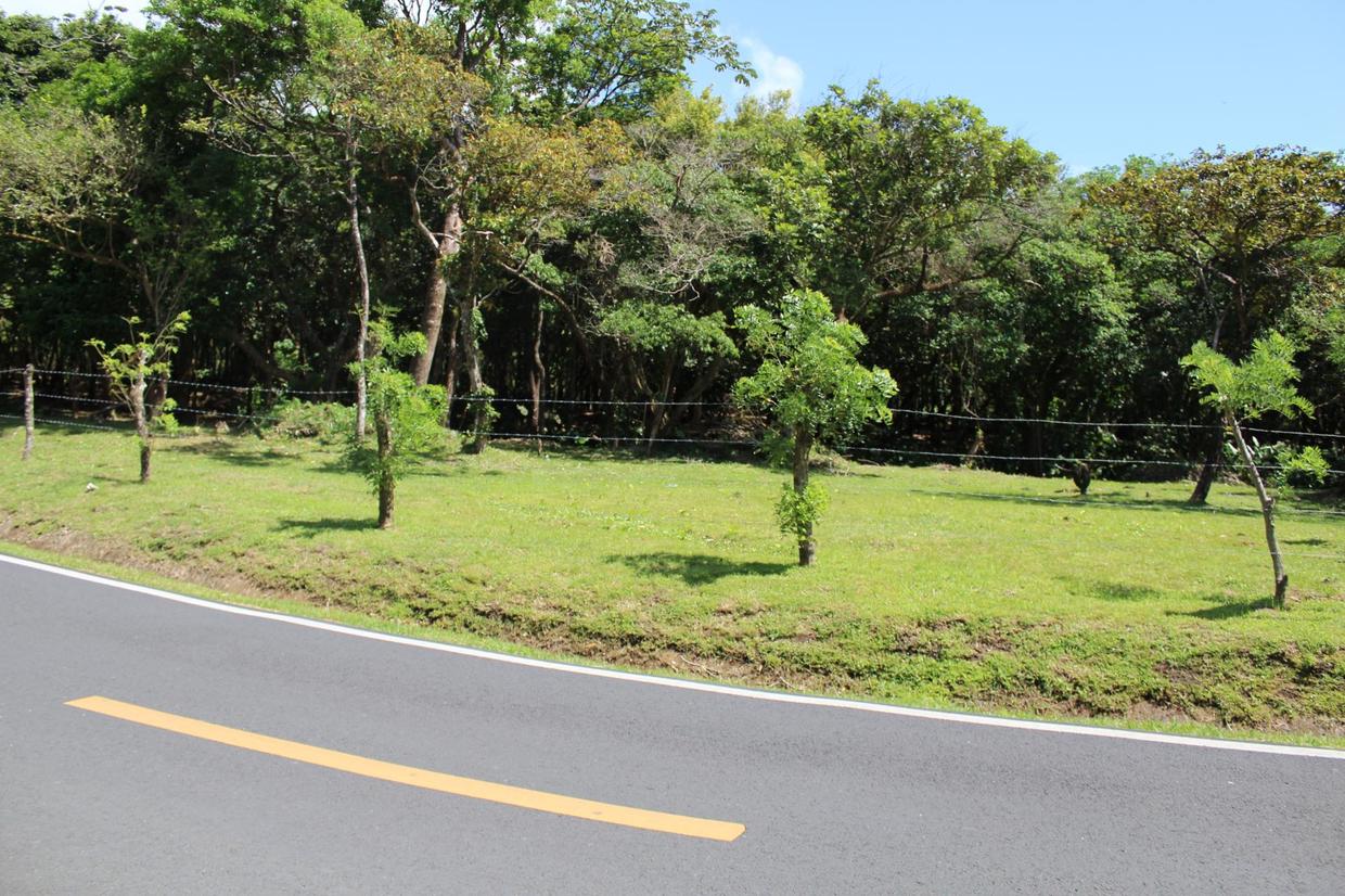 photo_server