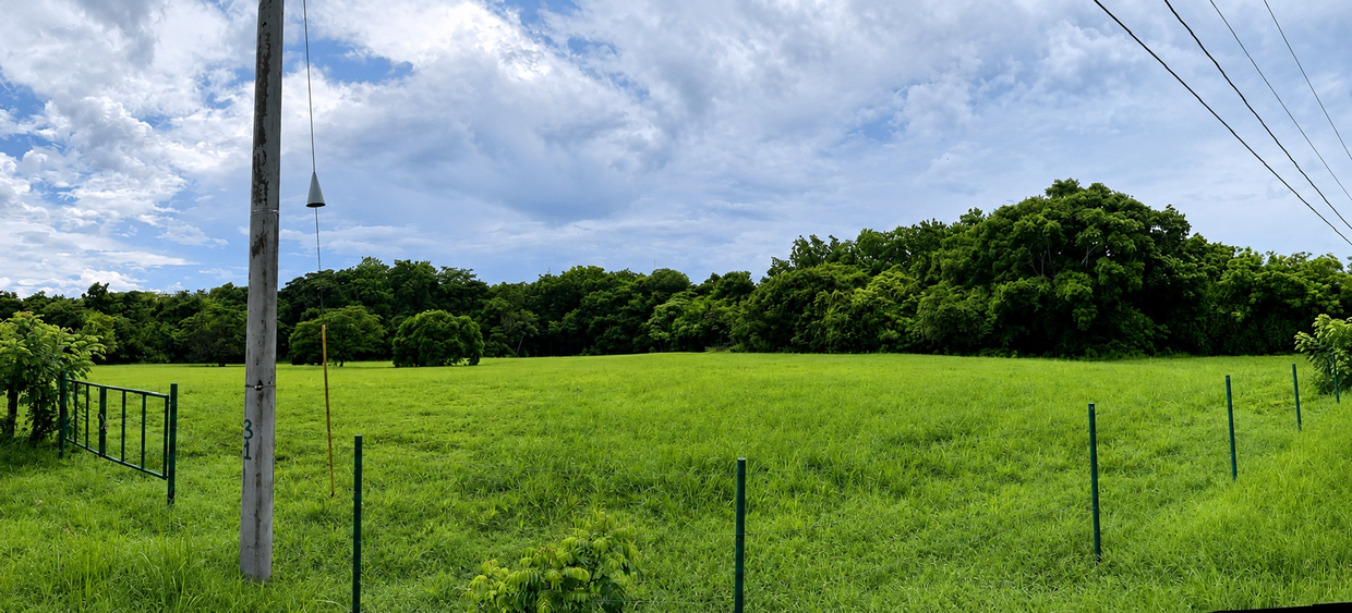 photo_server