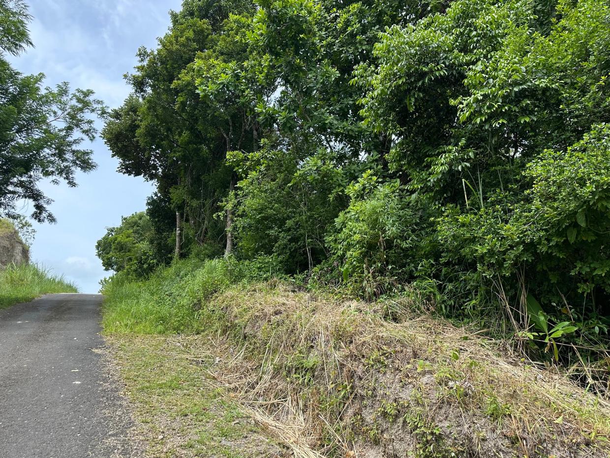 photo_server