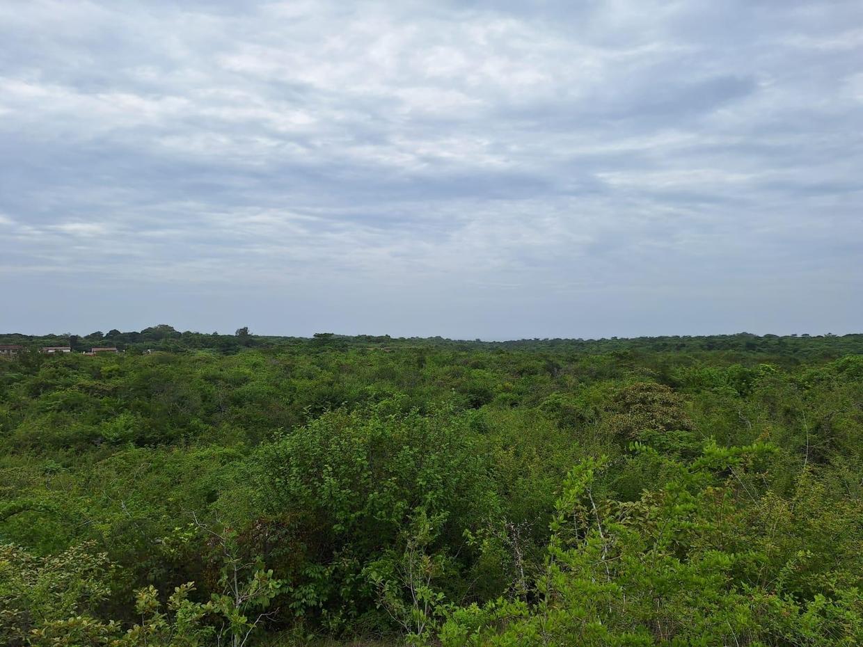 photo_server