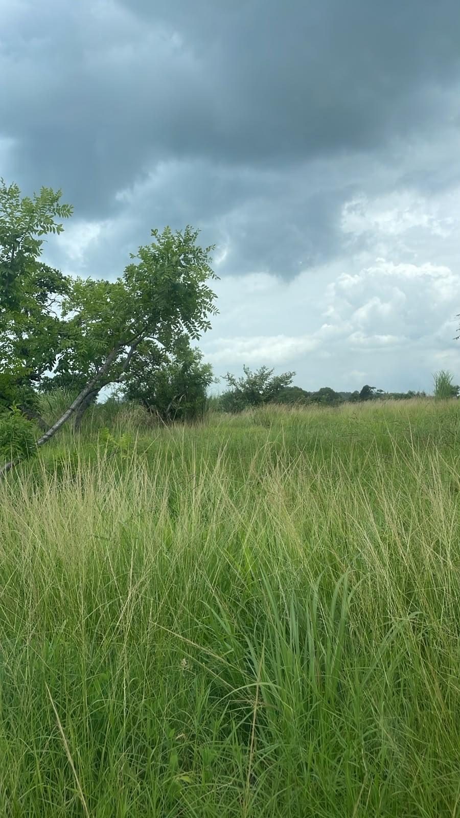 photo_server