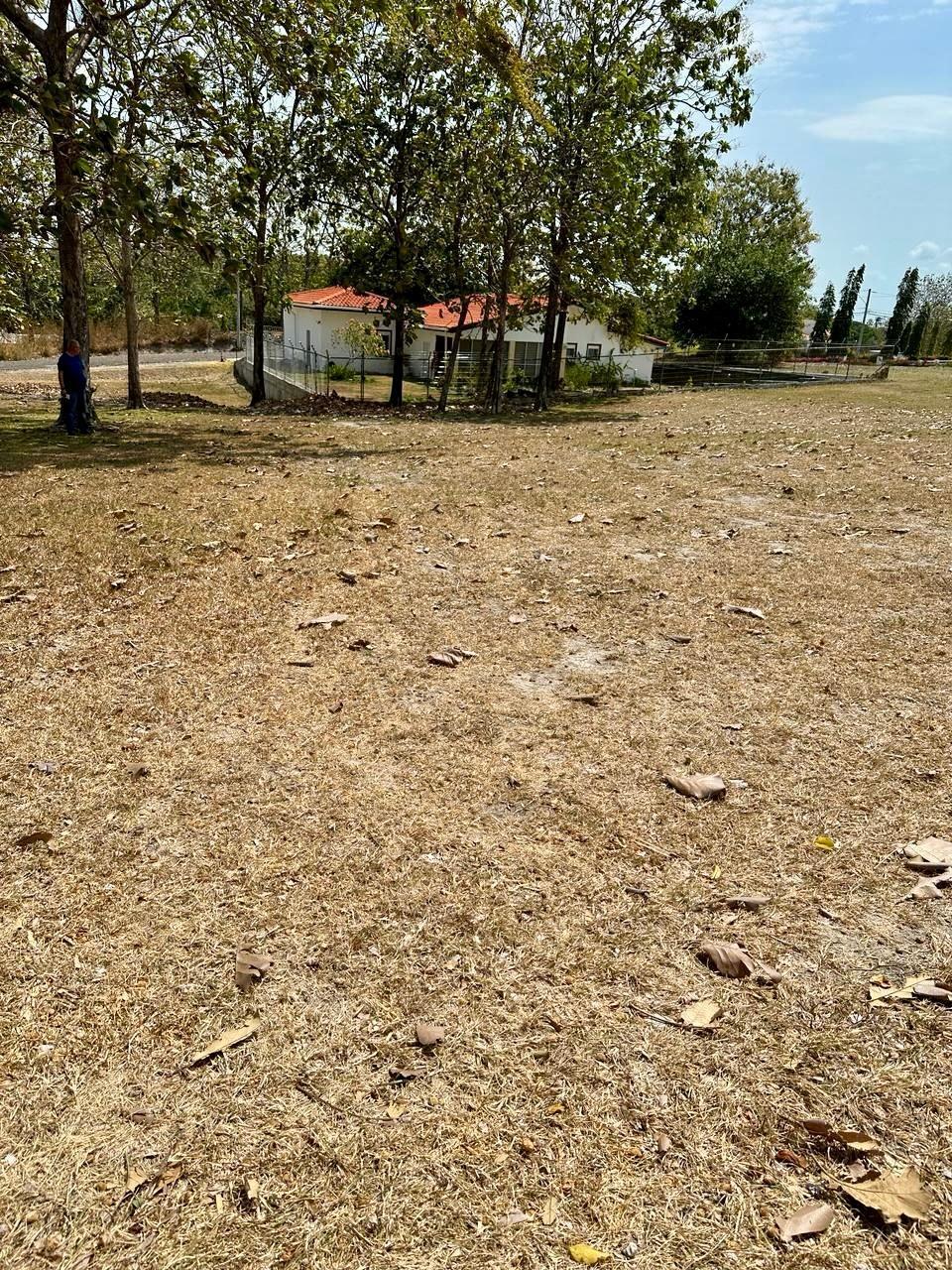 photo_server
