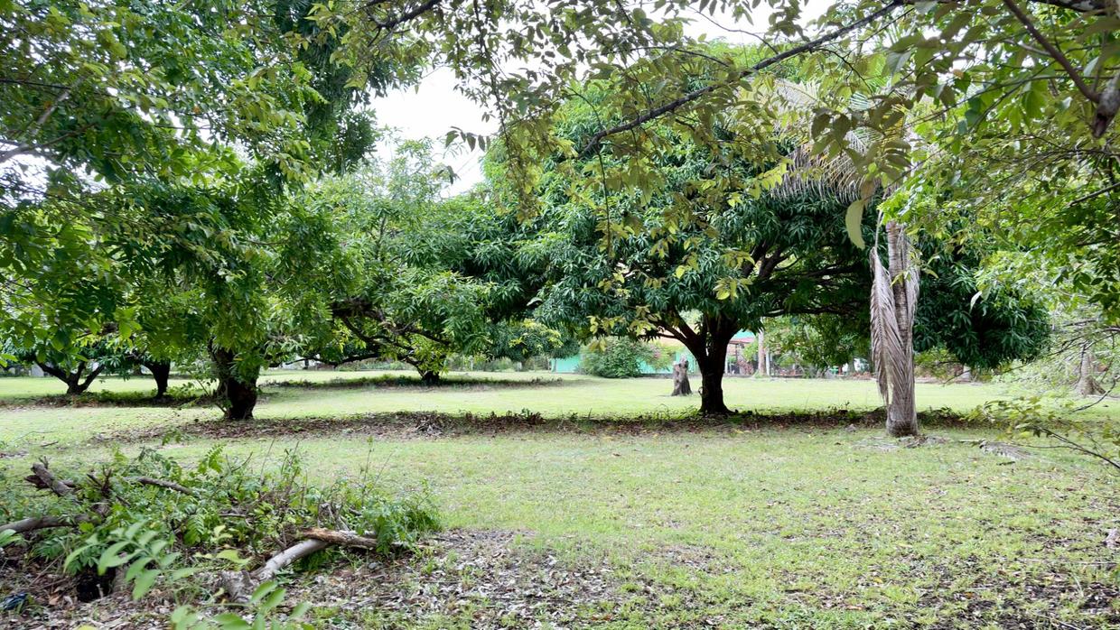 photo_server