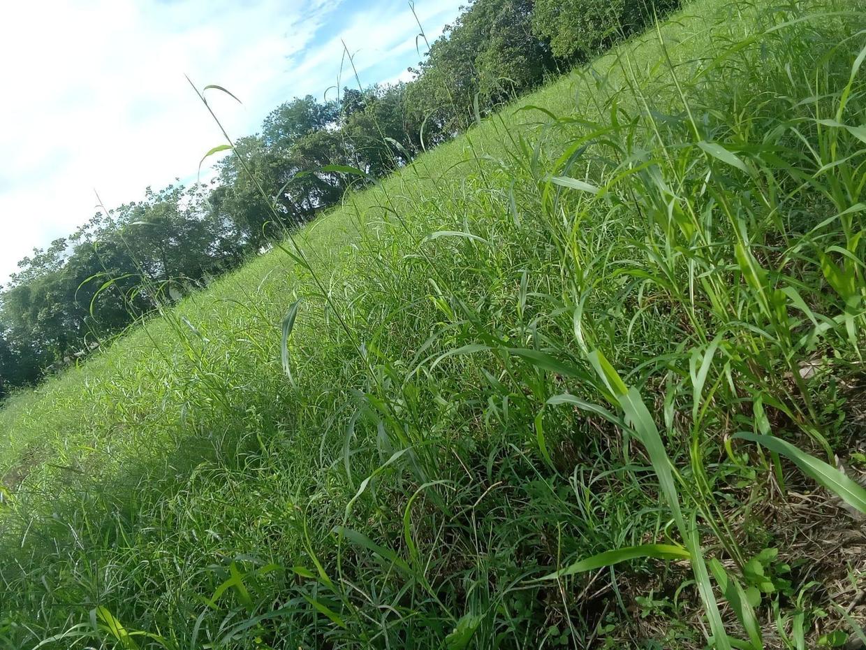 photo_server