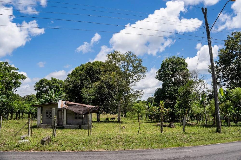 photo_server