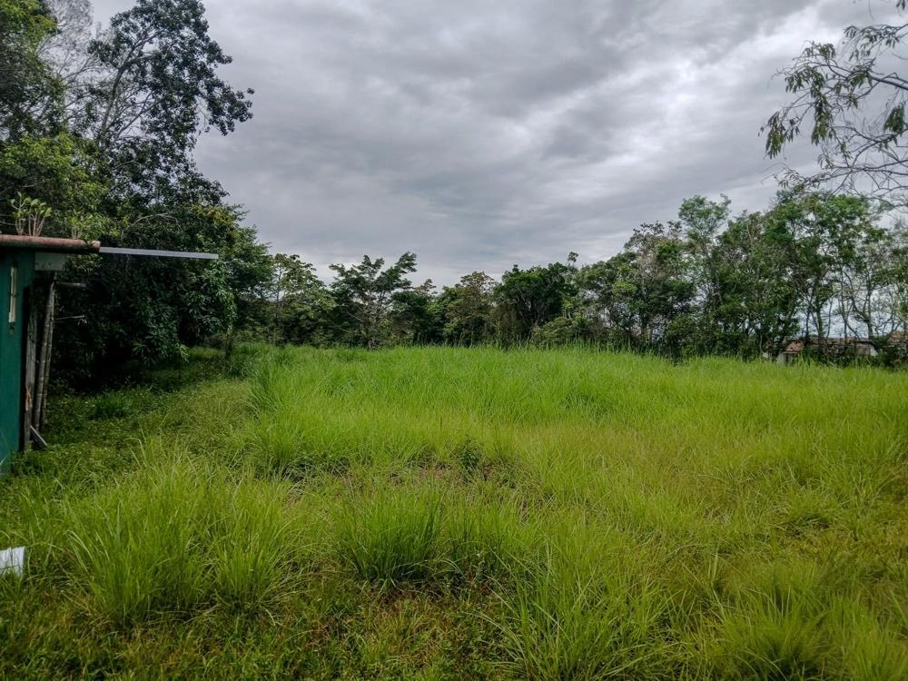 photo_server